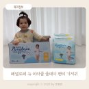 밤낮없이 안심하고 사용할 수 있는 기저귀! 페넬로페 뉴 미라클 올데이 팬티 기저귀 6단계 사용 후기