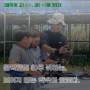 문제 없는 행사, 경험으로 부터 나오는 디테일의 차이입니다. [칠곡의 고(古) . 금(今)을 잇다]
