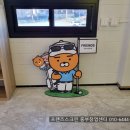 수지Q스크린