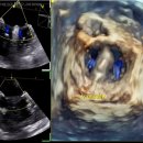 일산동물의료원 이미지