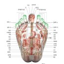 발과 건강과의 관계 이미지
