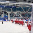 2024올림픽 #8] 내가 휴무일을 즐기는 방법(🏒하키, 🥌컬링 관람/자원봉사자 직무유지 프로그램 &#39;치유의 숲&#39;)