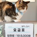 별이랑 놀자 이미지