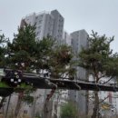 한율초등학교 이미지