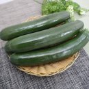 자연대로 이미지