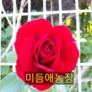 미듬애농장 이미지