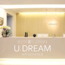 비비드림 이미지