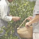 라원농장 이미지