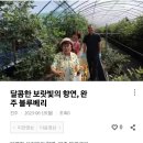 카페인씨네