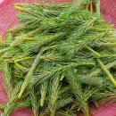 솔잎펜션 1 이미지