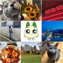 연월농장2 | 요그정