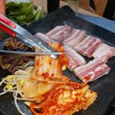 맛나생고기