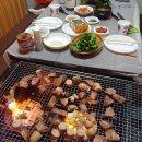 퍼피랜드애견온수수영장펜션