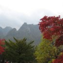 신흥사 - 중구 | 신흥사