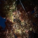 종로-연건-종로-연-406 | 이모저모