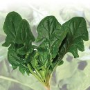 주식회사대찬 이미지