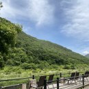 동밀양농협 단장지점 이미지