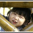 개구장이 이미지