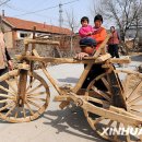 중국 기상천외한 '100% 순수 나무 자전거'[F B I] 이미지