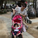 세계적으로 유명한 모간 미로 정품 아동 운동화 이미지