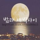 개귀여워 이미지