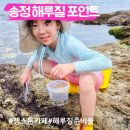 부산 기장 송정 해루질 포인트 카페 젬스톤 아이랑 가기 좋은 스팟