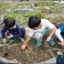 큰빛자연생태유치원 이미지