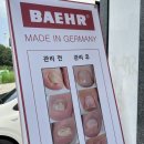 비치아이