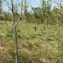 민환농장 이미지