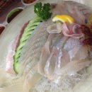 일차횟집 이미지