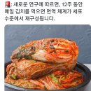 김치가 체내 나노플라스틱 제거에 도움 이미지