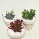 관악병설유치원 이미지