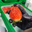 영천농장 이미지