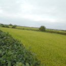 강문리 마을회관 이미지