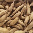 참살이농원 이미지