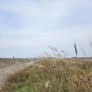 서해랑길 80코스 서산/당진시 *삼길포항-대호방조제-당진화력발전소* (25.11.08) 이미지
