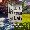 생명살림터 | 팁랩 라이프 teamLab : LIFE 솔직후기