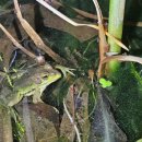 배다리공원 이미지