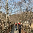 스타벅스 전남화순DT점 | 늦겨울 전남 화나무(화순/나주/무안)여행_화순 환산정(環山亭)