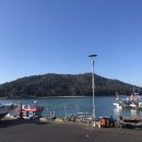 영성횟집 이미지