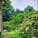 미원목장 이미지