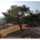 봉황산 입구 이미지