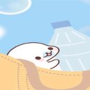 고망 이미지