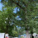 동해분교 이미지