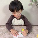 도서출판 성우 – 꼬마수학뒤집기 전집 리뷰