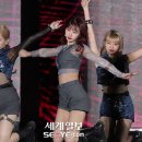 시현 이미지