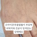 페디베네원주점