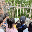 대통령 선거가 궁금해요 ＞＞ 투표 놀이 이미지