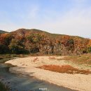 선용 이미지