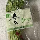 용문산푸른공원 이미지